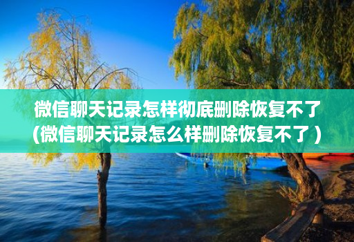 微信聊天记录怎样彻底删除恢复不了(微信聊天记录怎么样删除恢复不了 )