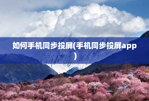 如何手机同步投屏(手机同步投屏app )