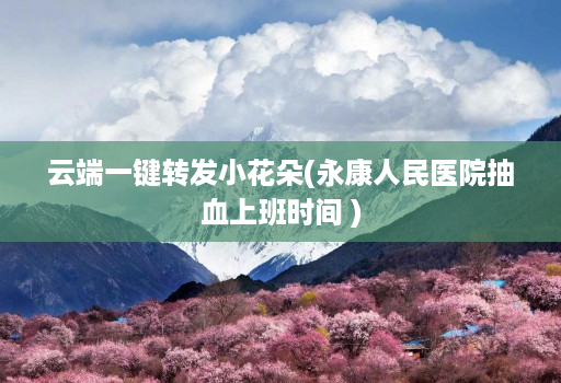 云端一键转发小花朵(永康人民医院抽血上班时间 )