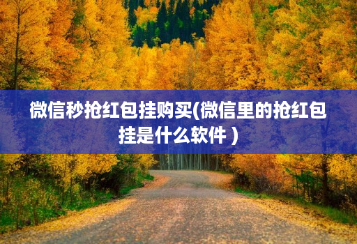 微信秒抢红包挂购买(微信里的抢红包挂是什么软件 )