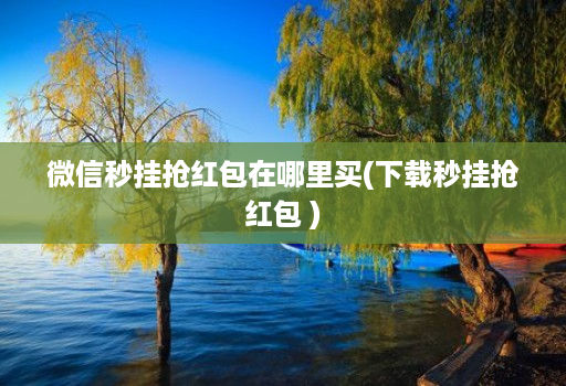 微信秒挂抢红包在哪里买(下载秒挂抢红包 )