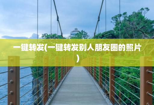 一键转发(一键转发别人朋友圈的照片 )