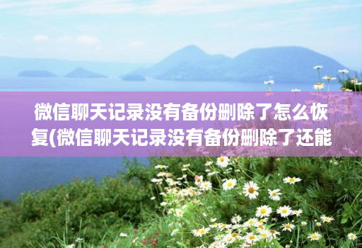 微信聊天记录没有备份删除了怎么恢复(微信聊天记录没有备份删除了还能找回来吗 )
