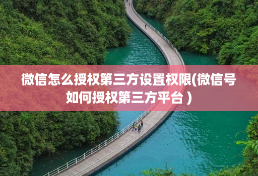 微信怎么授权第三方设置权限(微信号如何授权第三方平台 )