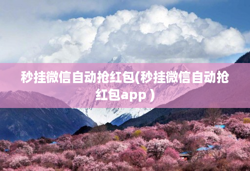 秒挂微信自动抢红包(秒挂微信自动抢红包app )