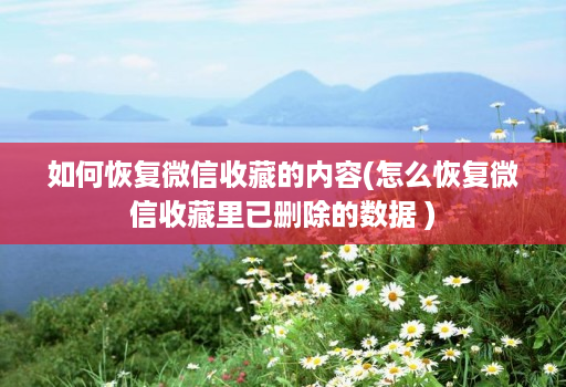 如何恢复微信收藏的内容(怎么恢复微信收藏里已删除的数据 )