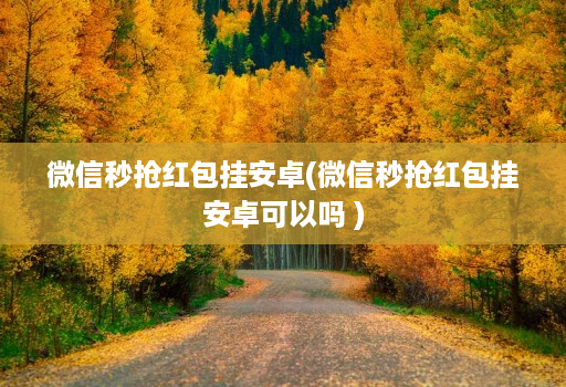 微信秒抢红包挂安卓(微信秒抢红包挂安卓可以吗 )