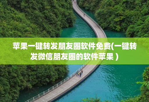 苹果一键转发朋友圈软件免费(一键转发微信朋友圈的软件苹果 )