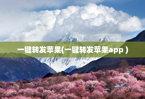 一键转发苹果(一键转发苹果app )
