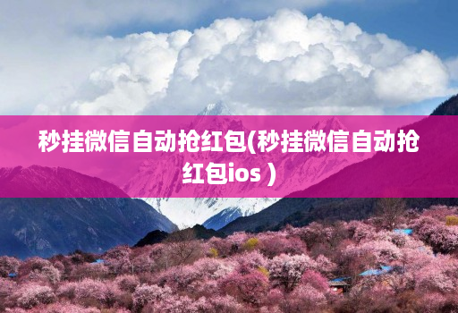 秒挂微信自动抢红包(秒挂微信自动抢红包ios )