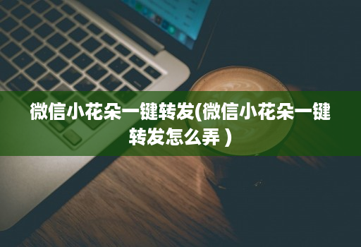 微信小花朵一键转发(微信小花朵一键转发怎么弄 )