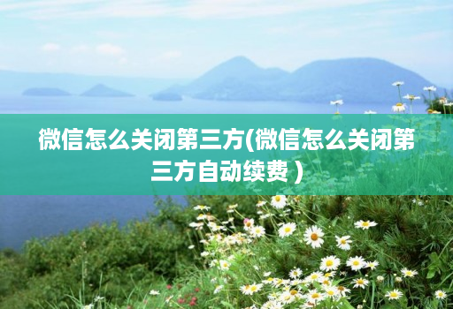 微信怎么关闭第三方(微信怎么关闭第三方自动续费 )
