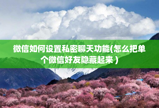 微信如何设置私密聊天功能(怎么把单个微信好友隐藏起来 )
