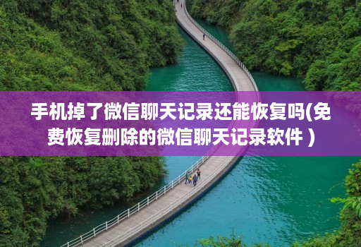 手机掉了微信聊天记录还能恢复吗(免费恢复删除的微信聊天记录软件 )
