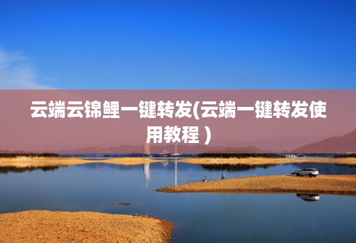 云端云锦鲤一键转发(云端一键转发使用教程 )