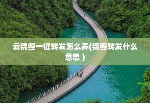 云锦鲤一键转发怎么弄(锦鲤转发什么意思 )