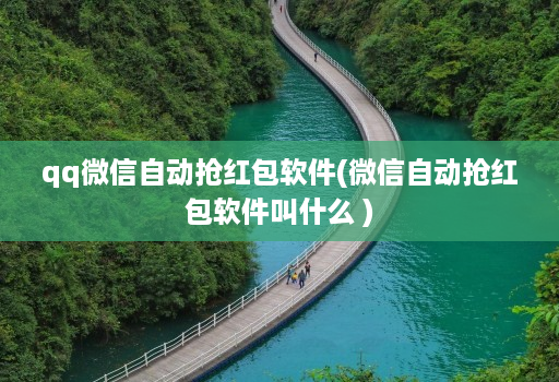 qq微信自动抢红包软件(微信自动抢红包软件叫什么 )