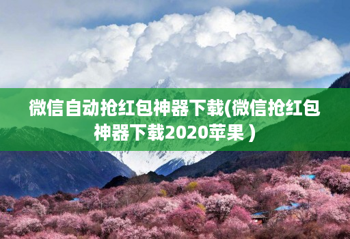 微信自动抢红包神器下载(微信抢红包神器下载2020苹果 )