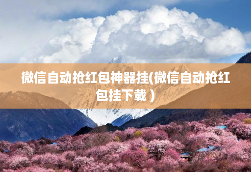 微信自动抢红包神器挂(微信自动抢红包挂下载 )
