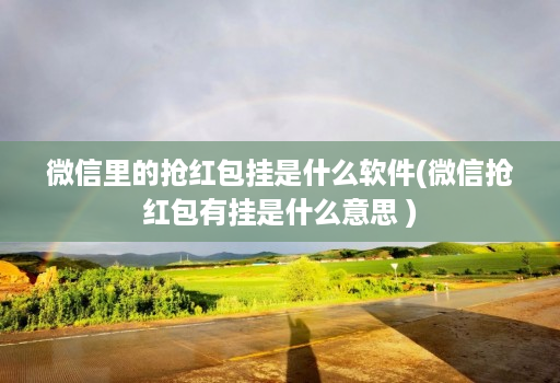 微信里的抢红包挂是什么软件(微信抢红包有挂是什么意思 )