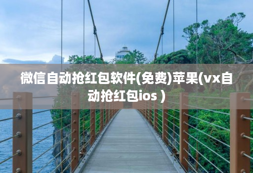 微信自动抢红包软件(免费)苹果(vx自动抢红包ios )