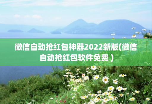 微信自动抢红包神器2022新版(微信自动抢红包软件免费 )
