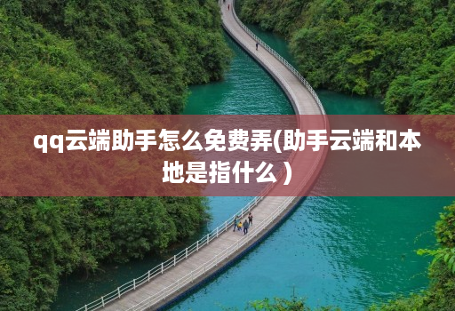 qq云端助手怎么免费弄(助手云端和本地是指什么 )