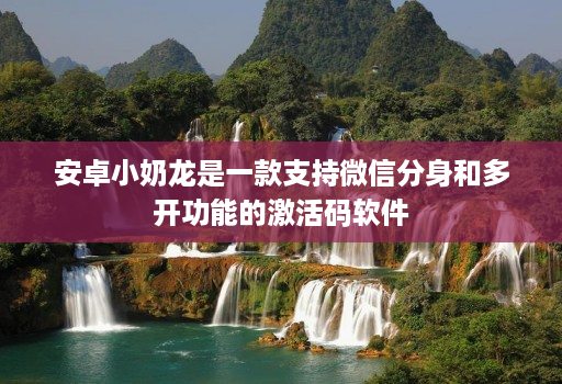安卓小奶龙是一款支持微信分身和多开功能的激活码软件