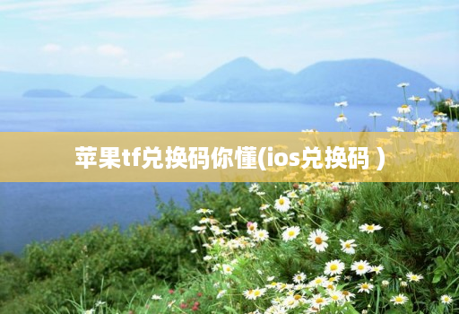 苹果tf兑换码你懂(ios兑换码 )