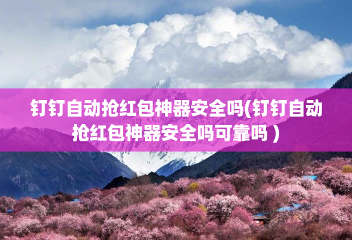 钉钉自动抢红包神器安全吗(钉钉自动抢红包神器安全吗可靠吗 )