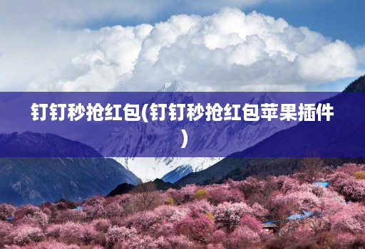 钉钉秒抢红包(钉钉秒抢红包苹果插件 )