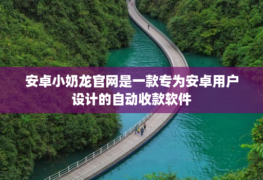 安卓小奶龙官网是一款专为安卓用户设计的自动收款软件