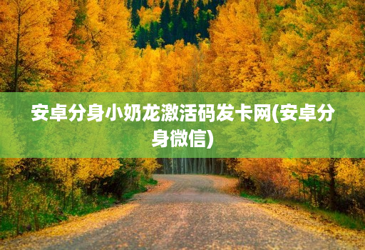 安卓分身小奶龙激活码发卡网(安卓分身微信)