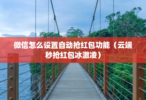 微信怎么设置自动抢荭包功能（云端秒抢荭包冰激凌）