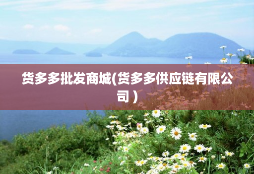 货多多批发商城(货多多供应链有限公司 )