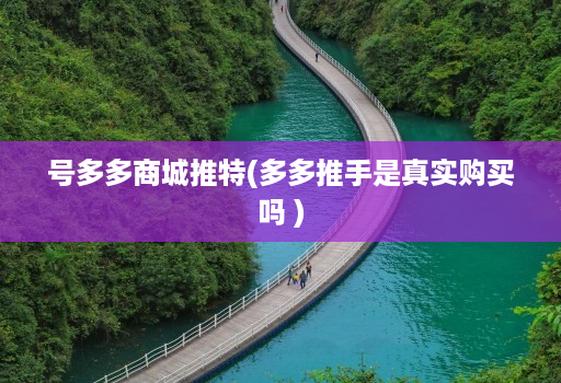 号多多商城推特(多多推手是真实购买吗 )