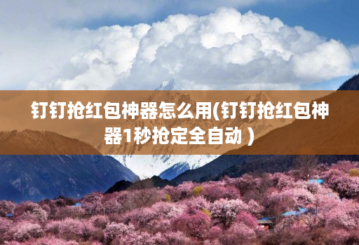 钉钉抢红包神器怎么用(钉钉抢红包神器1秒抢定全自动 )