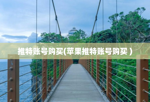 推特账号购买(苹果推特账号购买 )
