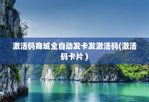 激活码商城全自动发卡发激活码(激活码卡片 )