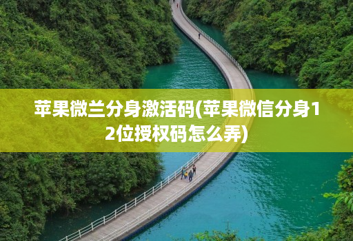 苹果微兰分身激活码(苹果微信分身12位授权码怎么弄)
