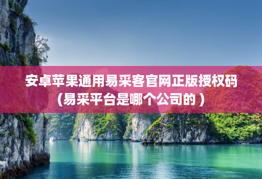 安卓苹果通用易采客官网正版授权码(易采平台是哪个公司的 )