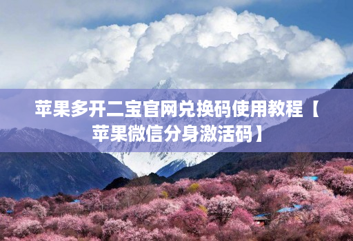 苹果多开二宝官网兑换码使用教程【苹果微信分身激活码】