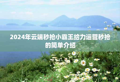 2024年云端秒抢小霸王给力运营秒抢的简单介绍