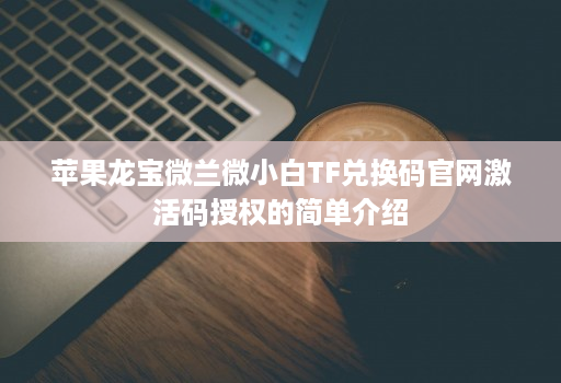 苹果龙宝微兰微小白TF兑换码官网激活码授权的简单介绍
