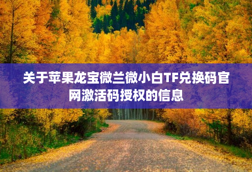 关于苹果龙宝微兰微小白TF兑换码官网激活码授权的信息