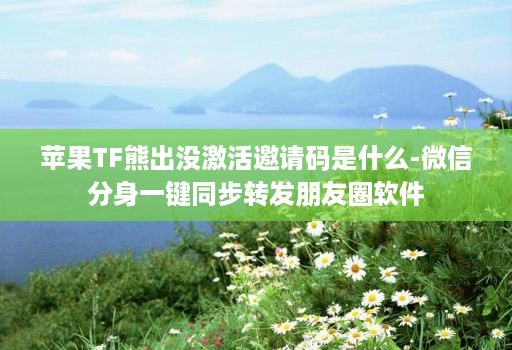 苹果TF熊出没激活邀请码是什么-微信分身一键同步转发朋友圈软件