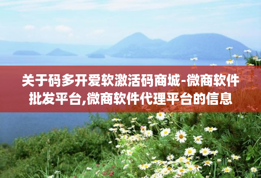 关于码多开爱软激活码商城-微商软件批发平台,微商软件代理平台的信息