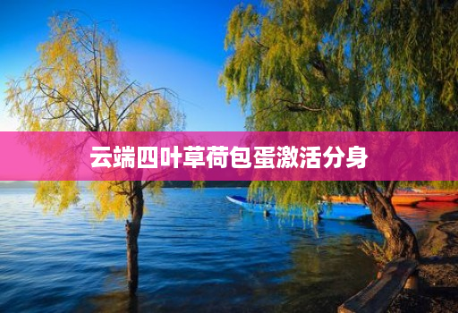 云端四叶草荷包蛋激活分身