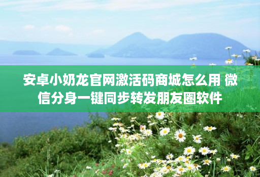 安卓小奶龙官网激活码商城怎么用 微信分身一键同步转发朋友圈软件