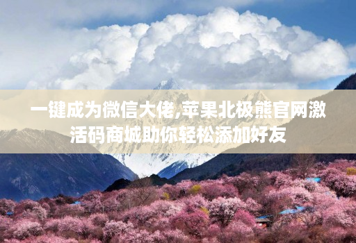 一键成为微信大佬,苹果北极熊官网激活码商城助你轻松添加好友